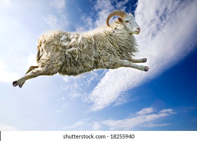 A flying sheep through a beautiful blue sky