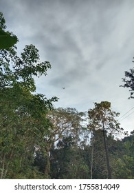 Flying through the cloudy sky