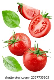 Flying tomato with basil leaves isolated on white background. Tomato collection with clipping path