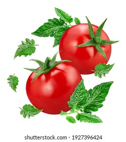 Tomato leaves Images, Stock Photos & Vectors | Shutterstock