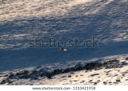 Similar – Foto Bild Einsamkeit Außenaufnahme