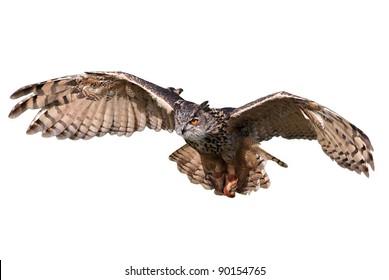 Flying/attacking owl isolated on white.