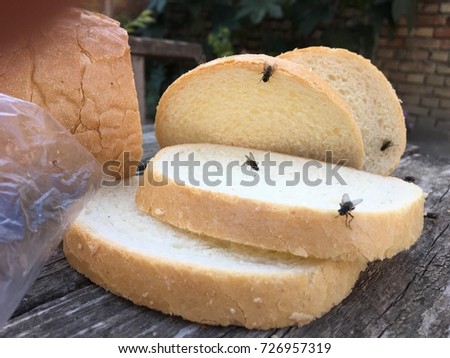 Flys on bred