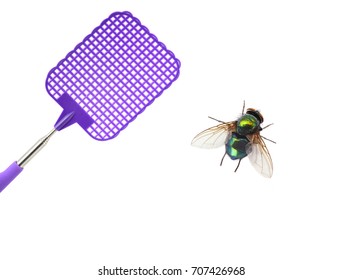 Flyswatter