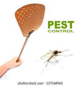 Flyswatter And Mosquito. Ecological Pest Control.  Picture With Space For Your Text.