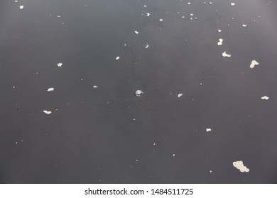 693 Foreboding water Images, Stock Photos & Vectors | Shutterstock