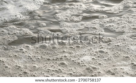 Foam or Bubbles Floating on the Surface of Pond Water
