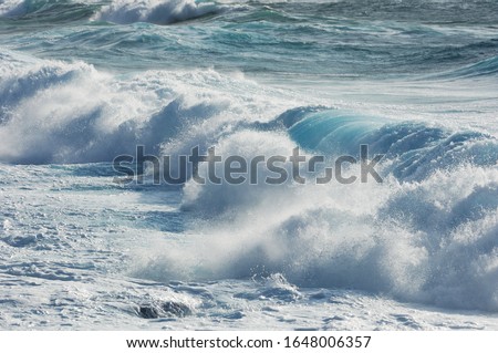 foam on the wave in the sea