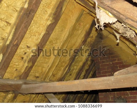 Foam sprayed insulation inside a loft space