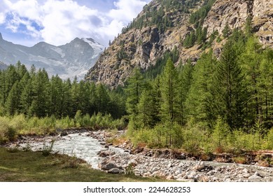 Foaming rushing water stream along rocky rapids in gorge between Italian Alps in Gran Paradiso National Park, surrounded by dense pine forest under white clouds, Aosta Valley, Italy - Powered by Shutterstock