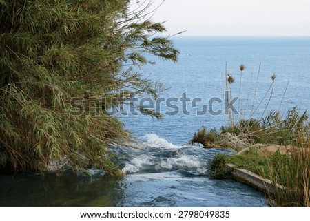 Foaming stream of the Duden river breaks between dense reed thickets and a low stone wall on the top platform of the waterfall. Summer landscape, Antalya, Turkey.