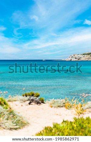 (Focus in the Background) Stunning view of a blurred coastline bathed by a turquoise, clear sea. Rena Majore is a small seaside village that's located south of Santa Teresa Gallura, Sardinia, Italy.