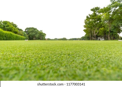 Focus Green Grass In Golf Court Blur On White Background. Low Angle Shot Style.