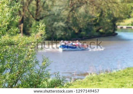 Focus on the bush in the foreground with a sloop in action on the river Linge in the Betuwe in the Netherlands