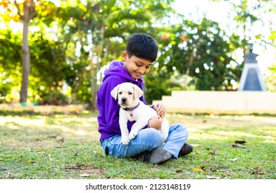 Focus On Dog, Young Indian Kid Playing By Holding Puppy Dog At Park - Concpet Companion, Friendship, Childhood And Recreation