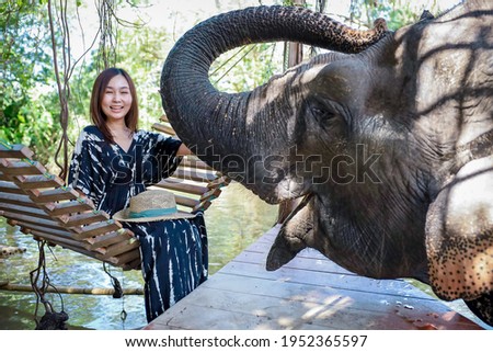 Similar – Image, Stock Photo wildcat elephant;)