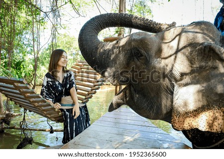 Similar – Image, Stock Photo wildcat elephant;)