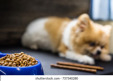 Focus On Food Of Dog.Pomeranian Dog Sitting Lonely On The Table With Food And Snack In Morning Day. Depress, Anorexia, Unhealthy And Sick Dog Concepts.