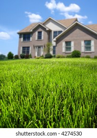 Focus on front lawn with house in background.