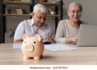 Focus on piggybank on table, on background frugal elderly couple make payment using e-bank on laptop, calculates earning smile feel happy. Family budget control, management, investment, profit concept - Powered by Shutterstock