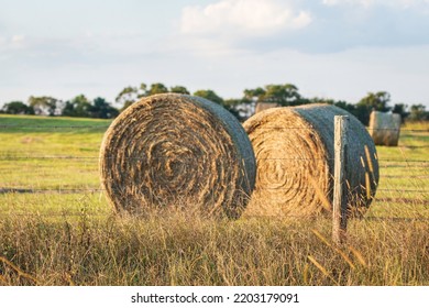 Focus On Wooden Fence Post With Large Round Bales In The Field Behind.