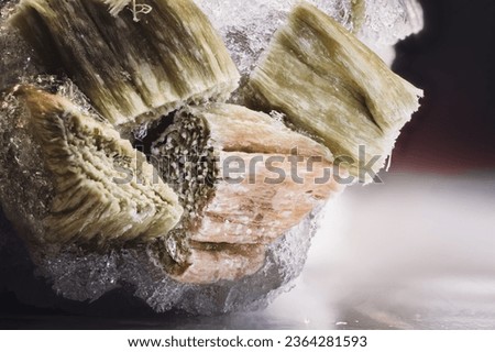 Focus stack of freezer burned rhubarb with ice crystals 