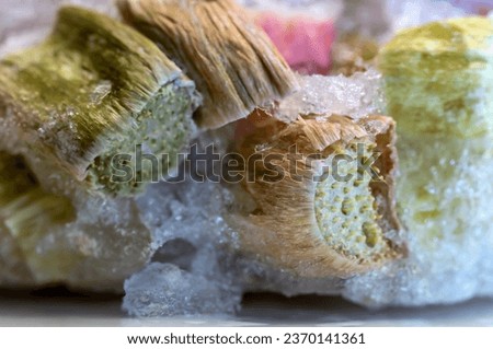 Focus stack of freezer burned rhubarb with ice crystals 