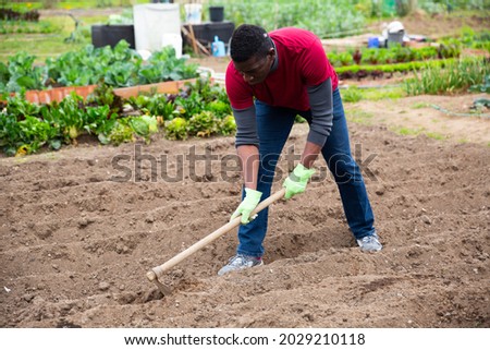 Focused African American working with hoe in kitchen garden, tilling soil before planting vegetables..
