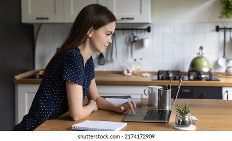 Focused beautiful student girl studying online at home, working on research study, using laptop computer, browsing internet, reading online article, watching learning webinar. Side view, banner - Shutterstock ID 2174172909