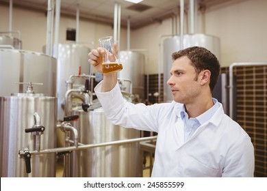 Focused brewer examining beaker with beer in the factory