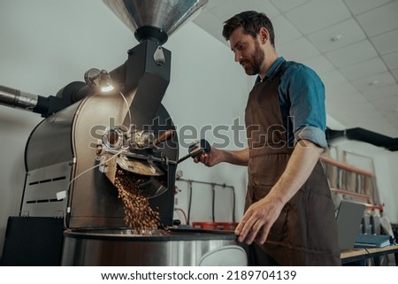 Focused business owner operating of coffee roasting machine on own small roasted factory
