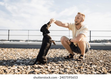 Focused caucasian man in summer clothes squatting on rooftop for training his black dachshund with treat in hand. Happy male owner spending time with beloved pet usefully outdoors - Powered by Shutterstock