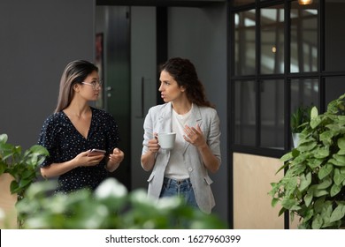 Focused Diverse Millennial Female Colleagues Stand Talk Discuss Ideas Enjoy Coffee At Workplace, Multiethnic Young Women Coworkers Speak Chat During Office Work Break, Collaboration Concept