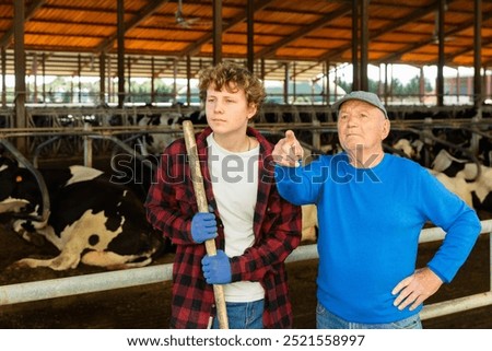 Focused elderly man giving instructions to teenage grandson during work in outdoor cowshed at dairy farm..