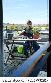 Focused Male Gardener Replanting Potted Ponytail Palm While Sitting At Wooden Table With Soil And Gardening Shovel On Terrace