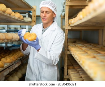 Focused man engaged in cheesemaking dressed in white uniform with cap and gloves examining quality of goat cheese in ripening room of cheese factory - Shutterstock ID 2050436321