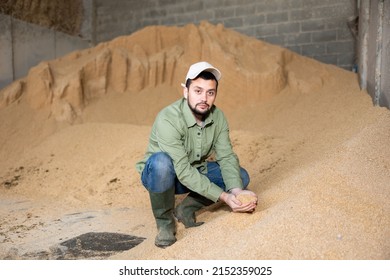 Focused man farmer crouched down near big pile of soybean husk, animal feed for dairy cattle, checking quality of forage