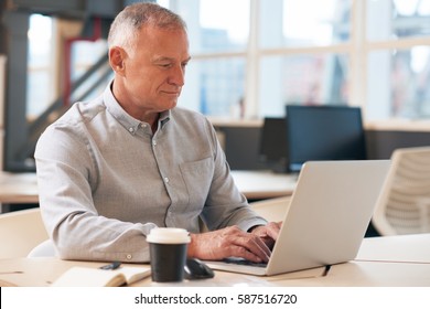 Focused Mature Businessman Working On A Laptop In An Office