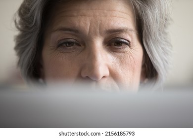 Focused Mature Grey Haired Computer User Woman Looking At Laptop Screen Close Up. Upper Face Of Senior Business Lady, Older Professional Working At Computer. Eye Care, Eyesight, Vision Concept