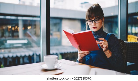 Focused On Reading Interesting Book In Red Cover Woman In Casual Outfit And Spectacles Sitting At Table In Modern Cafe With Cup Of Coffee Near Big Window