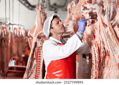 Focused professional butcher measuring temperature of beef carcass hanging in refrigerator at meat processing plant. Concept of standards for production and storage of meat products.. - Powered by Shutterstock