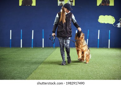 Focused Professional Trainer Feeding An Obedient Dog On The Leash