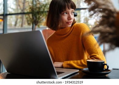 Focused redhead girl drinking coffee and working with laptop in cafe indoors