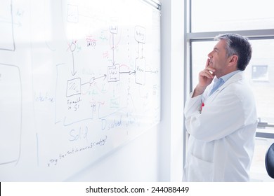 Focused Scientist Looking Equation On Whiteboard In Laboratory