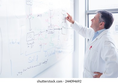 Focused Scientist Pointing Equation On Whiteboard In Laboratory