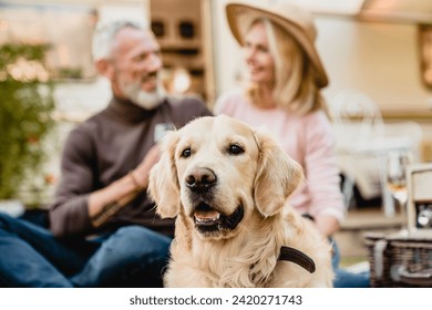 Focused shot of golden retriever dog with mature happy caucasian couple travelers spouses husband and wife blurred in the background - Powered by Shutterstock