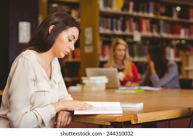 Focused Student Sitting At Desk Reading Text Book In Library