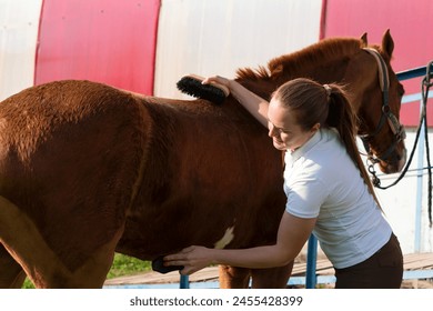 Focused woman grooming horse. Female rider prepares equine for a training session. Equestrian life. - Powered by Shutterstock