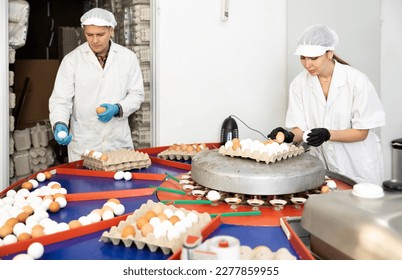 Focused woman and man working on fresh egg grading and sorting machine, grade egg by weight and size. Product labeling - Shutterstock ID 2277859955