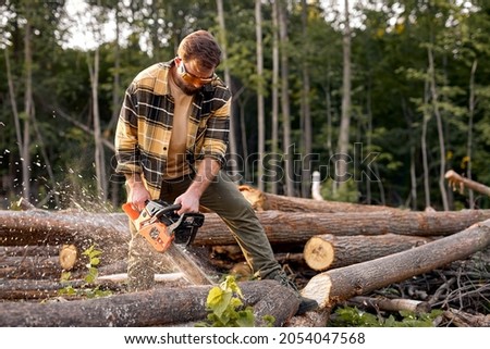 Focused wood man in protective goggles sawing with chainsaw tree trunk in summer forest. Concept of a professional logging. Bearded lumberjack. Brutal bearded lumberjack in casual plaid shirt